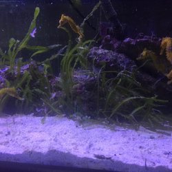 all seasons aquarium care