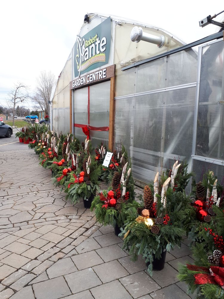 Les Serres Robert Plante Greenhouses