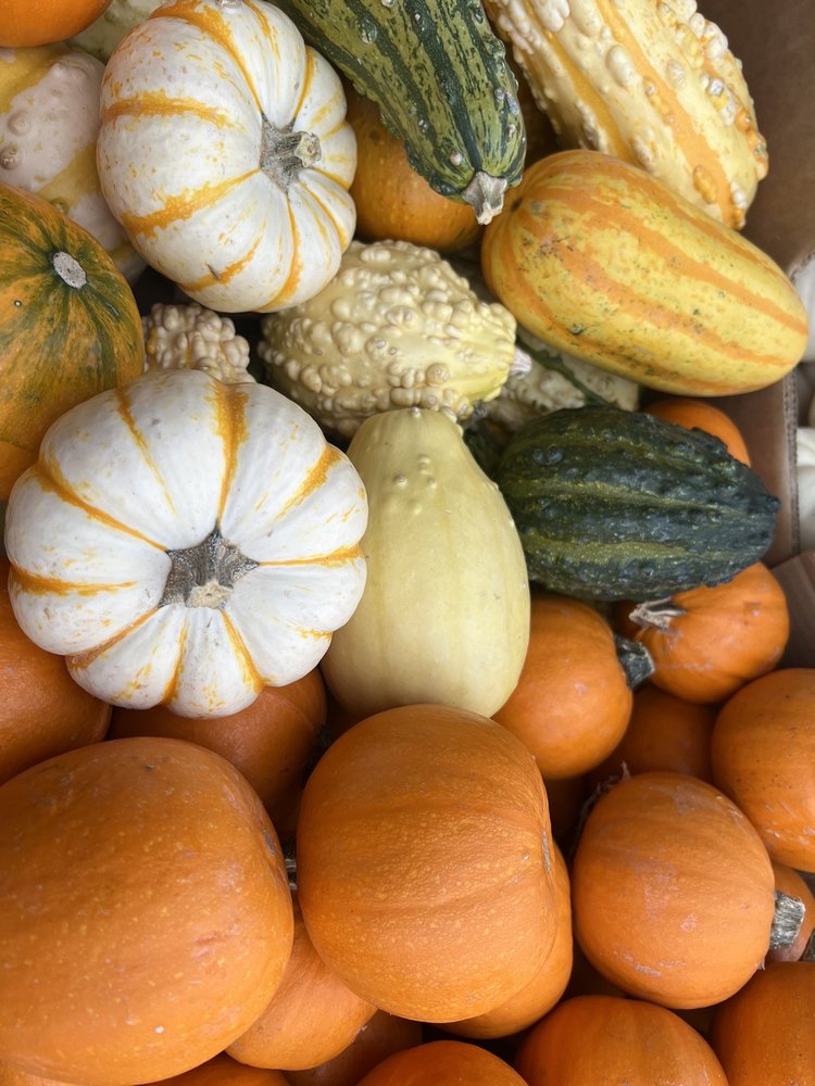 Dan's Farmers Market