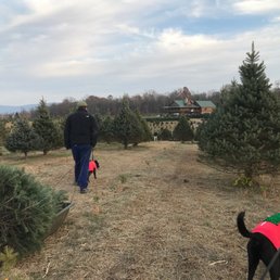 photo of moose apple christmas tree farm berryville va united states - Moose Apple Christmas Tree Farm photo of moose apple christmas tree farm berryville va united states - Moose Apple Christmas Tree Farm
