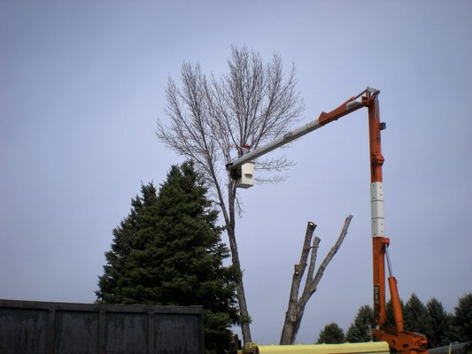 Storwick & Hope Tree and Landscape Professionals