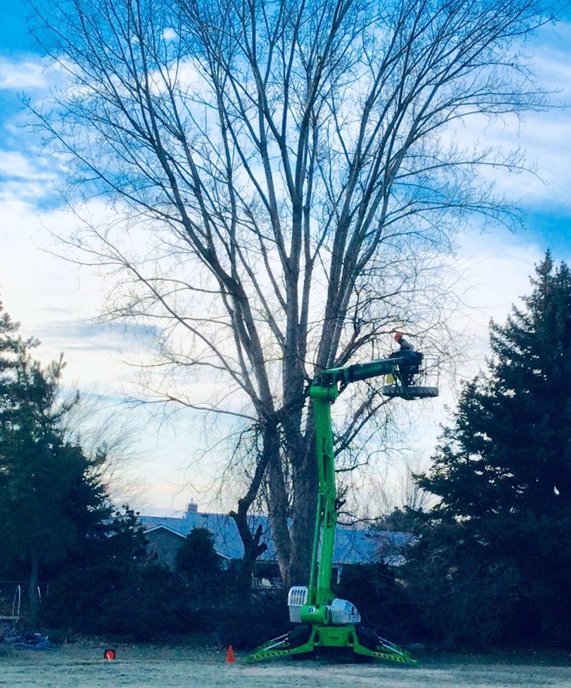 Beckner Tree Service