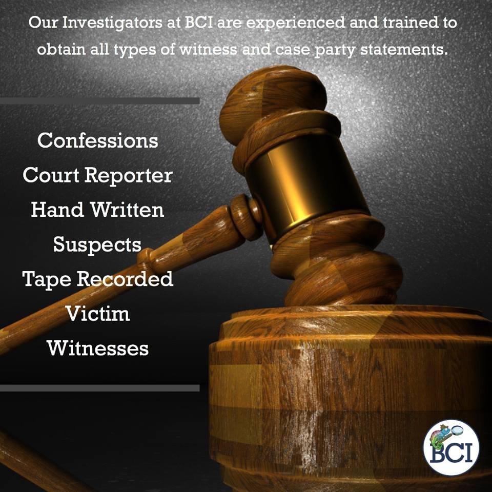 Blue Chameleon Investigations