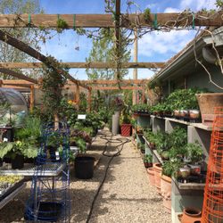 Arbor Day Nursery 45 Photos Nurseries Gardening 2767 W Photo Of Arbor Day Nursery Riverton Ut United States