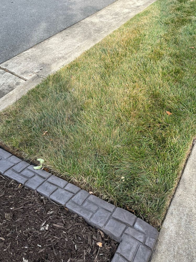 Sod Source