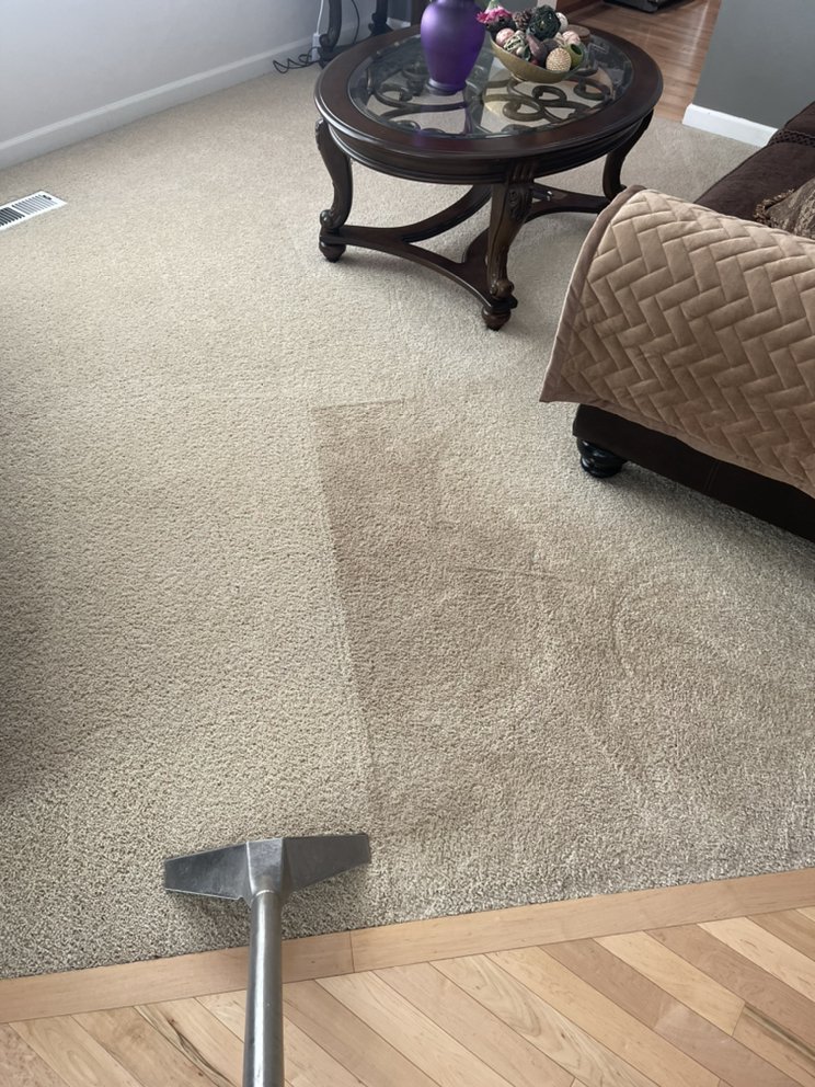 Principles of Carpet Cleaning