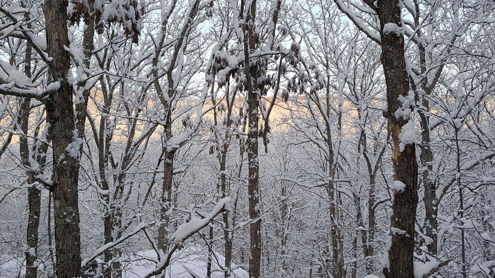 Saw Creek Estates 39 Photos Community Service/NonProfit 5728