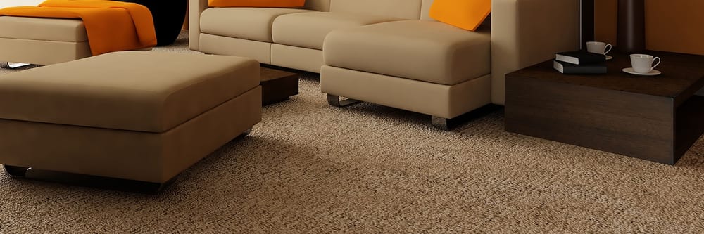 Jorjorian Rug