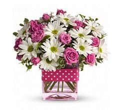 Schmidt's Flowers