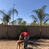 Moon Valley Nurseries 209 Photos 85 Reviews Photo Of Moon Valley Nurseries Avondale Az United States