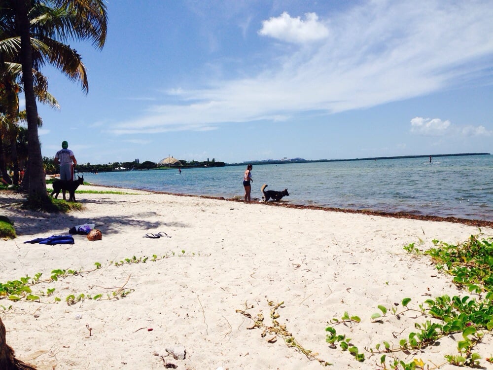 Key Biscayne Dog Beach 109 Photos & 14 Reviews Beaches