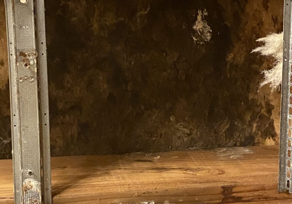 TFM Mold & Water Damage Restoration