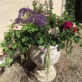 Armstrong Garden Centers 60 Photos 32 Reviews Nurseries Photo Of Armstrong Garden Centers La Canada Flintridge Ca United States My
