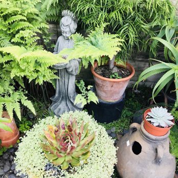 Yamaguchi Bonsai Nursery 154 Photos 82 Reviews Nurseries Photo Of Yamaguchi Bonsai Nursery Los Angeles Ca United States
