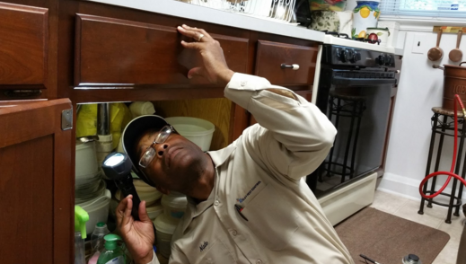 Relay Pest Control