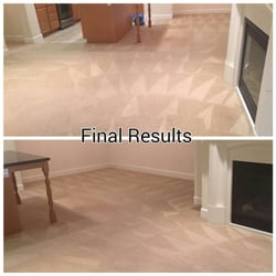 Stay Dry Go Green Organic Carpet Cleaning 69 Photos 117 Photo Of Pro Clean Carpet Care San Jose Ca United States Move