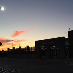 belleville walmart mi