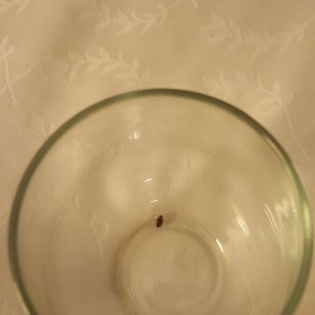 Sheraton Suites Wilmington Downtown 53 Photos 75 Reviews - 