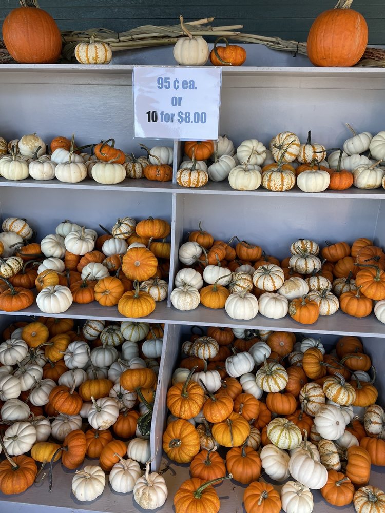 Rhodes Farmer's Market