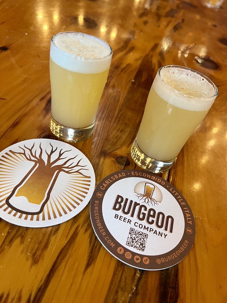 Burgeon Beer Co