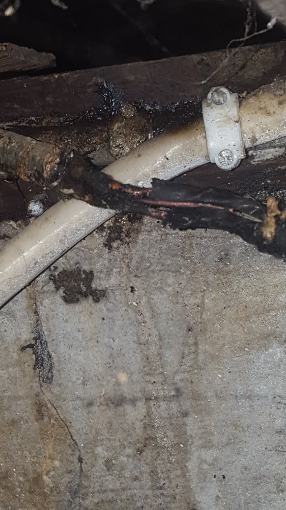 image of business AAA Plus Electrical Company
