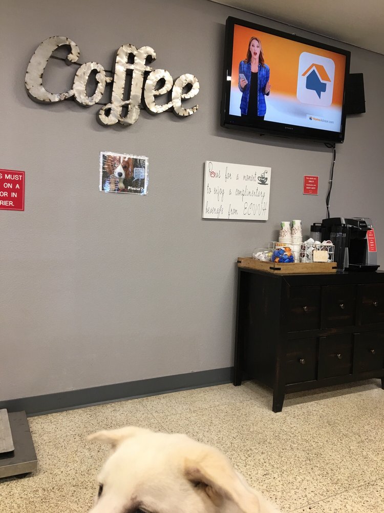 El Cajon Valley Veterinary Hospital 14 Photos & 136 Reviews