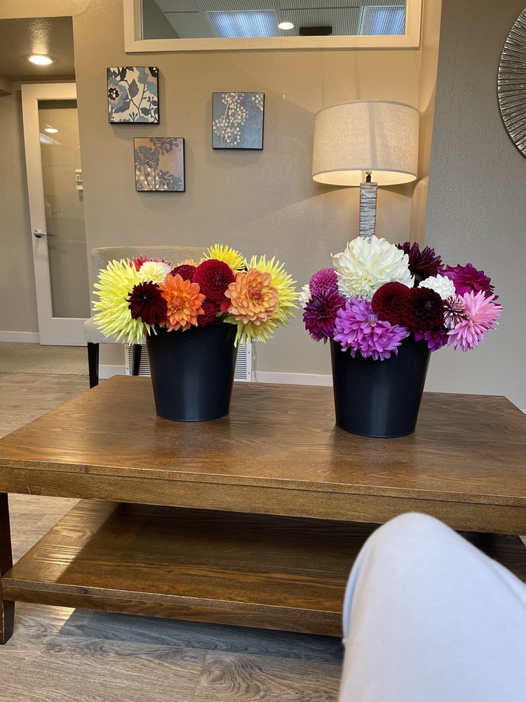 image of business Fall City Family Dental