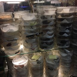 Exotic Amphibian & Reptile Center - 20 Photos - Pet Stores - 343 Lemay