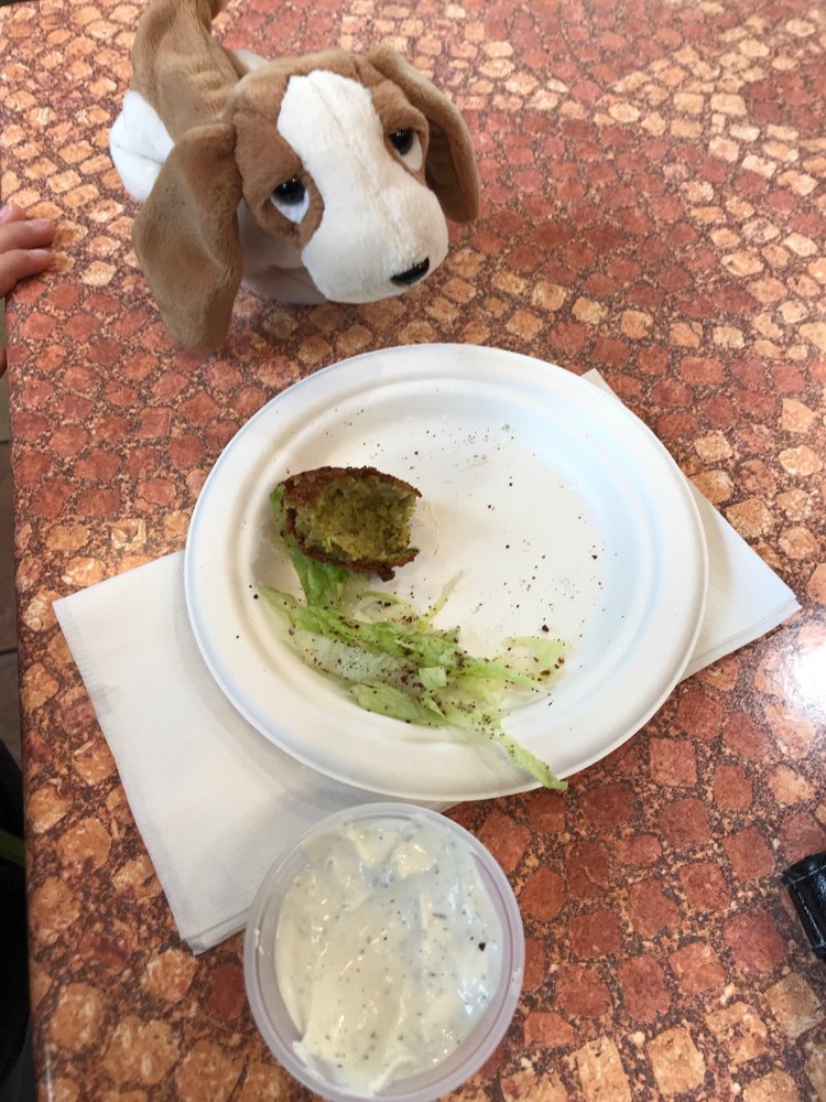 Gyro Time Gyro Time