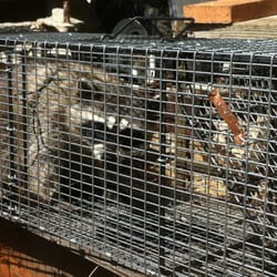Photo of A&amp;M Animal Control - San Diego, CA, United States