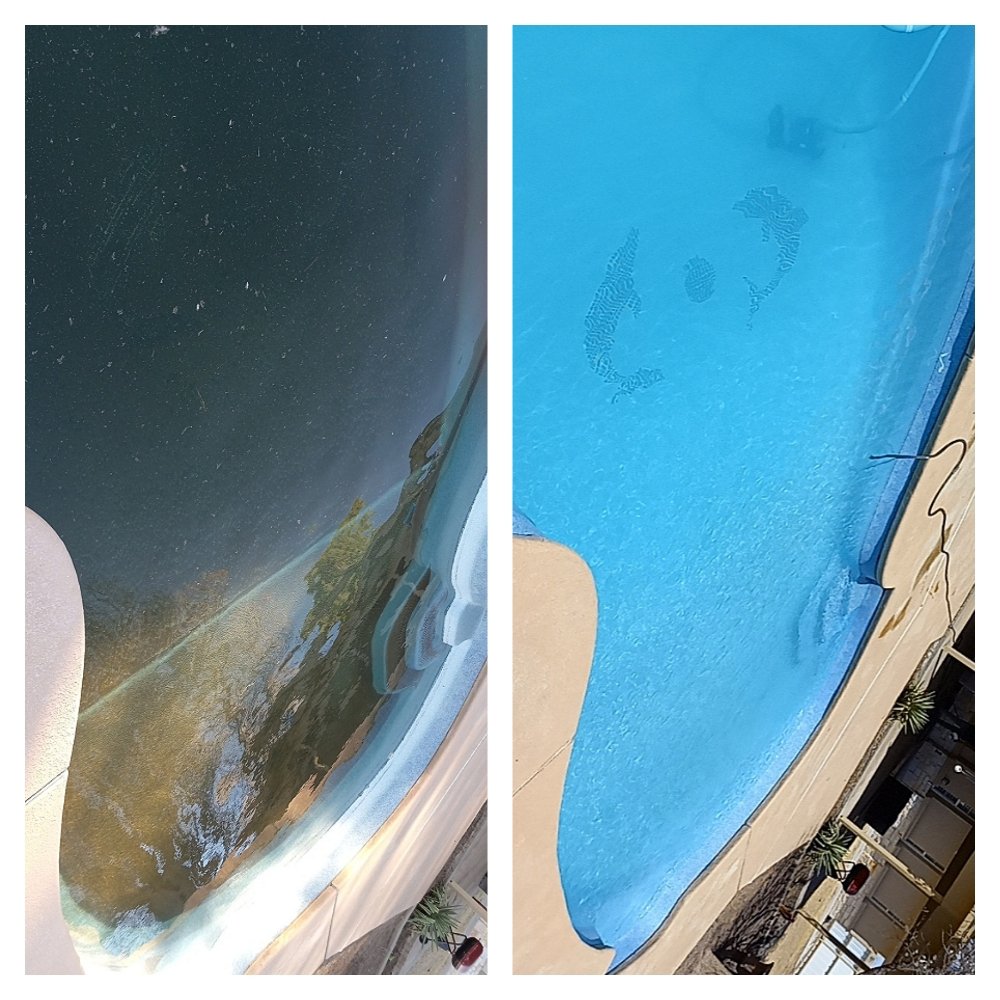 cactus pool care
