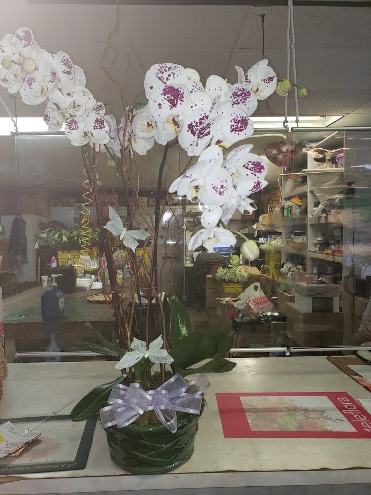 image of business Falls Dental Care Group