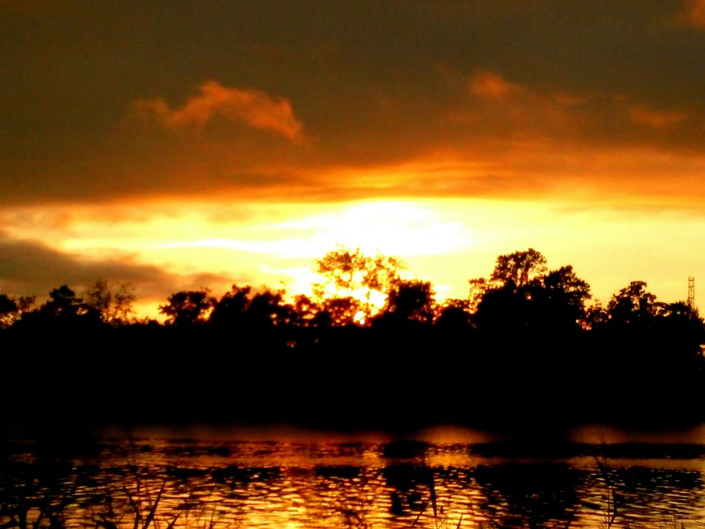 Wilmington Convention Center