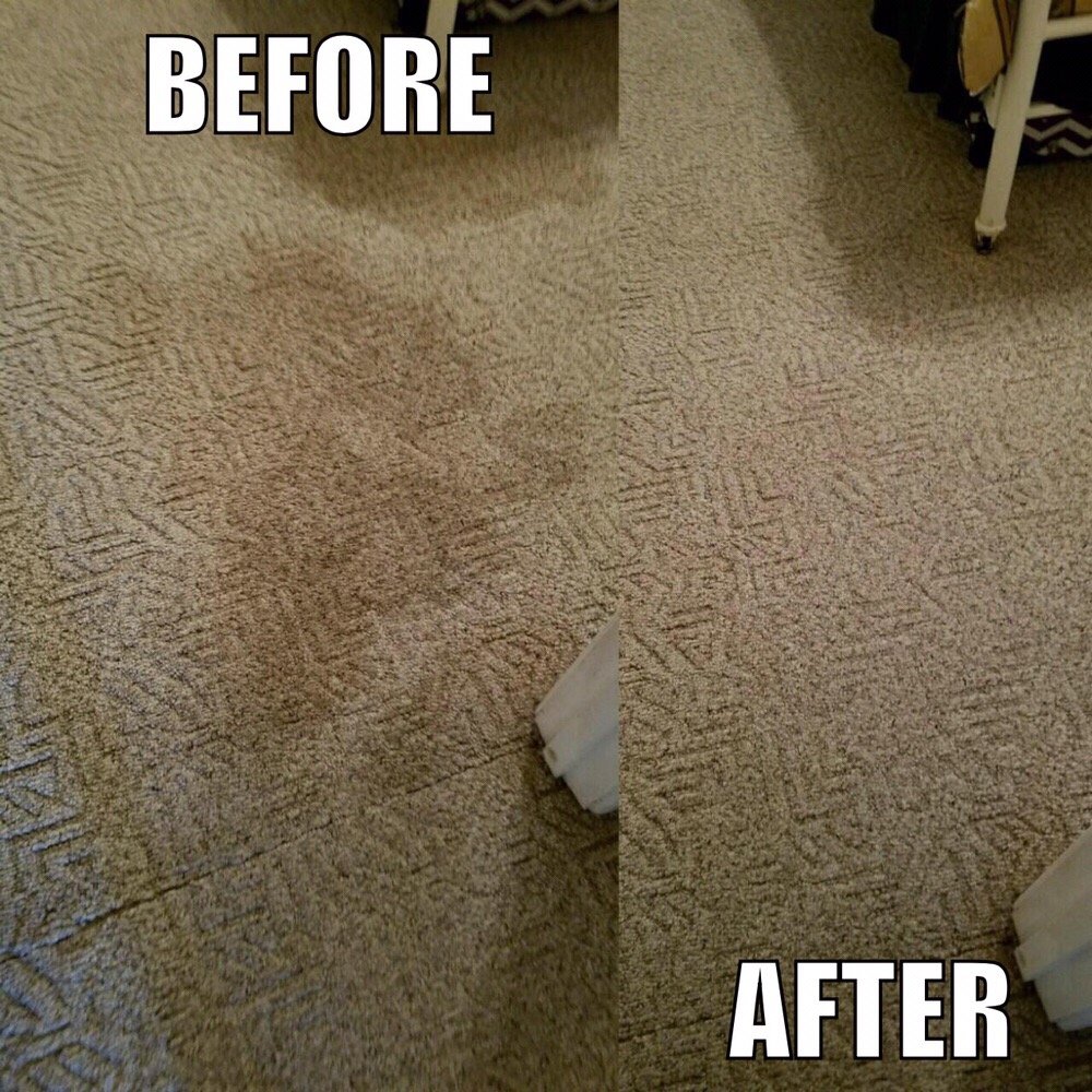 Heaven’s Best Carpet Cleaning Midland 20 Photos Carpet Cleaning