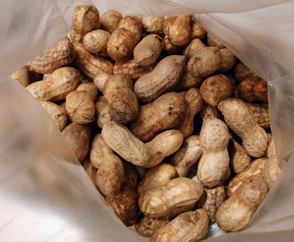 Farmer's India Market