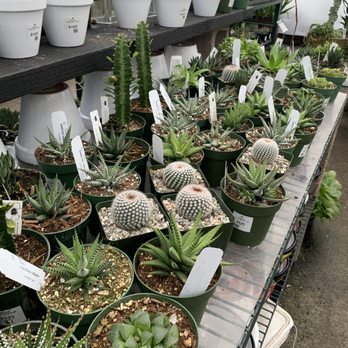 Yelp Reviews For East Bay Nursery 78 Photos 162 New