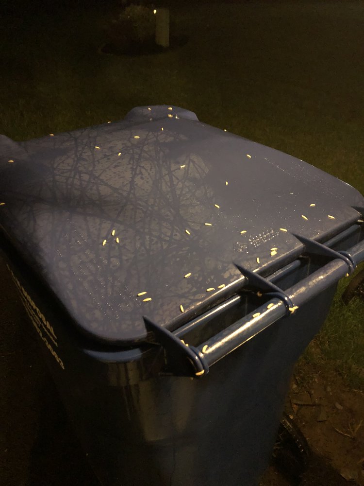 B and N Disposal
