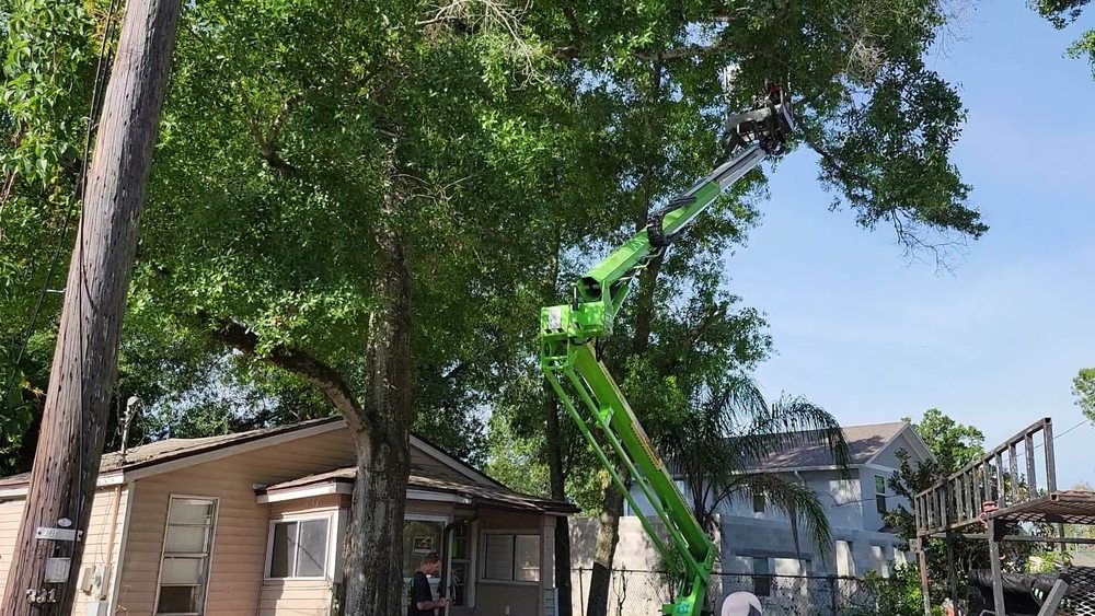 Van Buren's Tree Service