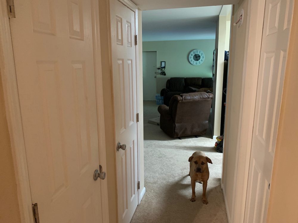 Stratford Hills Apts