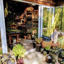 sierra water gardens closed