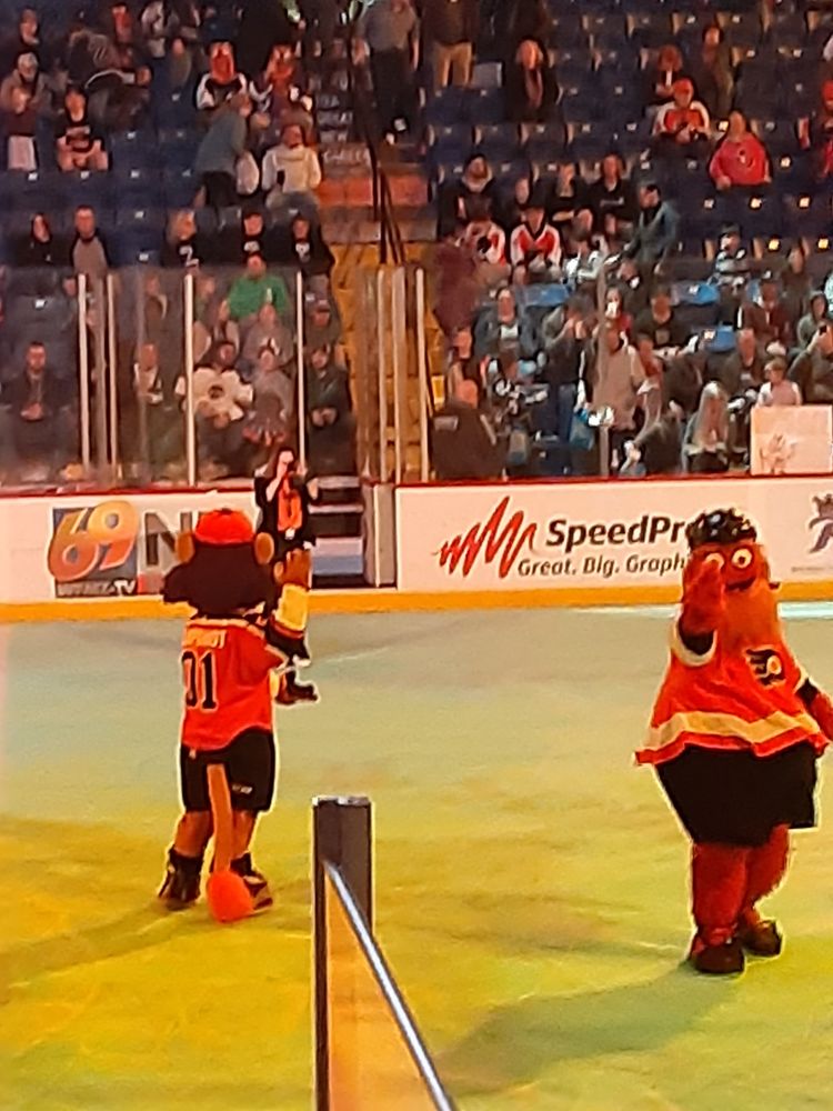 Reading Royals