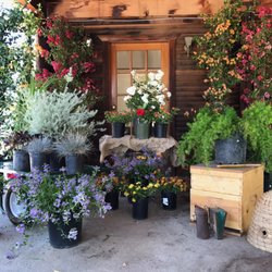 Topanga Nursery 34 Photos 13 Reviews Nurseries Gardening Photo Of Topanga Nursery Chatsworth Ca United States How Does Your Garden