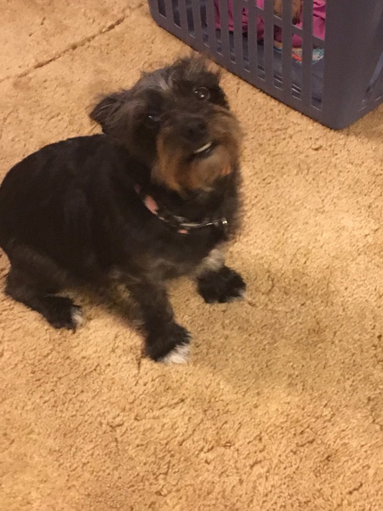 Rosedale Gift Cards Page 2 Of 25 Oklahoma Giftly