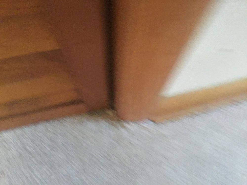 image of business The Carpet Market