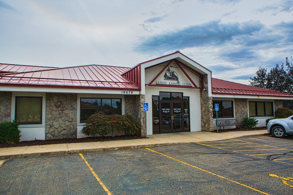 Sandy Animal Clinic 23 Photos & 11 Reviews Veterinarians 10670