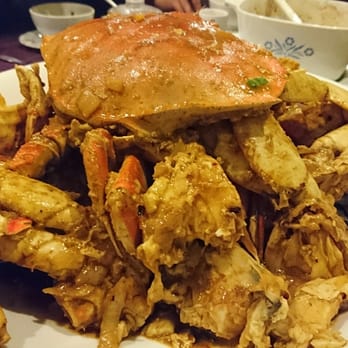 Best Chinese Food In Parkland Fl Best Chinese Food In Parkland Fl