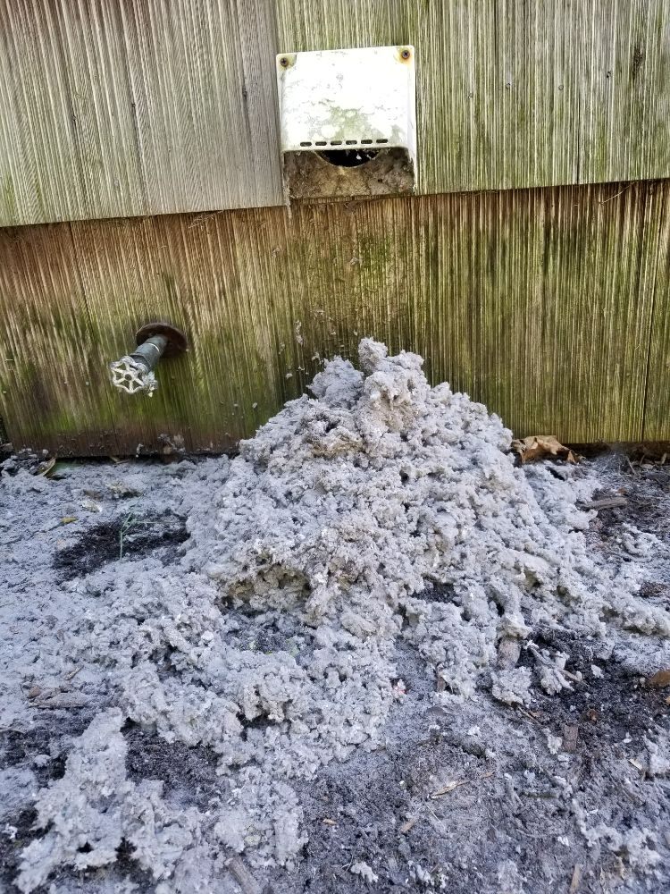 image of business All Island Dryer Vent Solutions