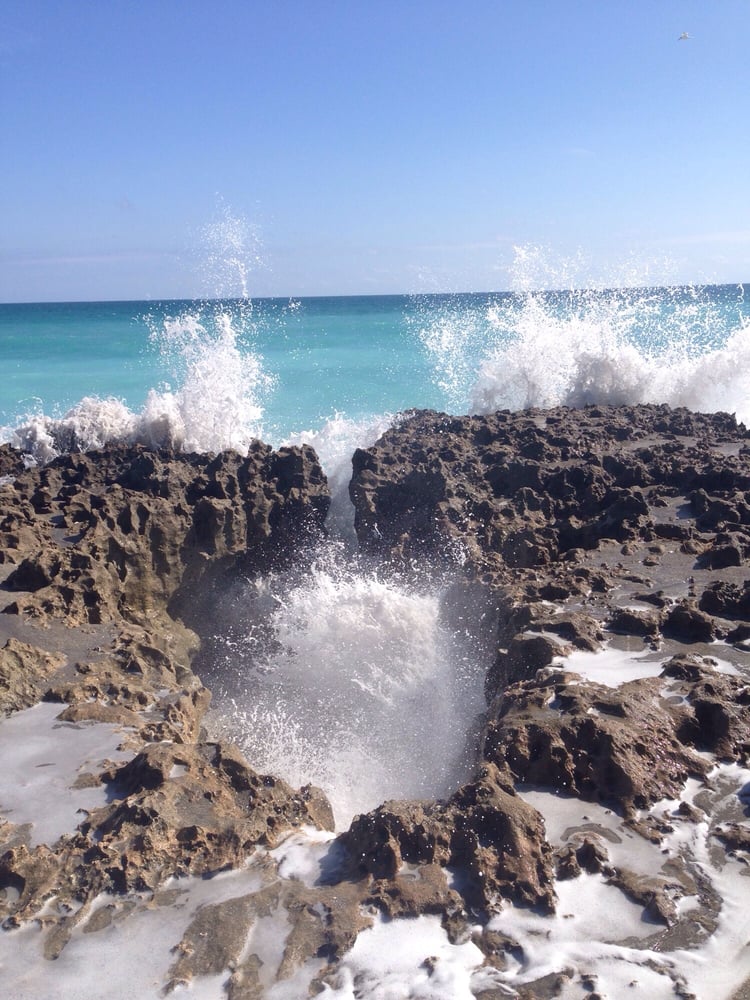 Auto Service Near Me >> Photos for Blowing Rocks Preserve - Yelp Auto Service Near Me >> Photos for Blowing Rocks Preserve - Yelp