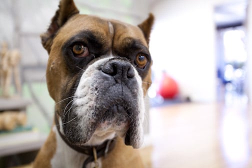 Santa Barbara Family Chiropractic