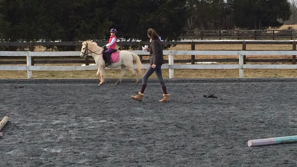 20/20 Horsemanship